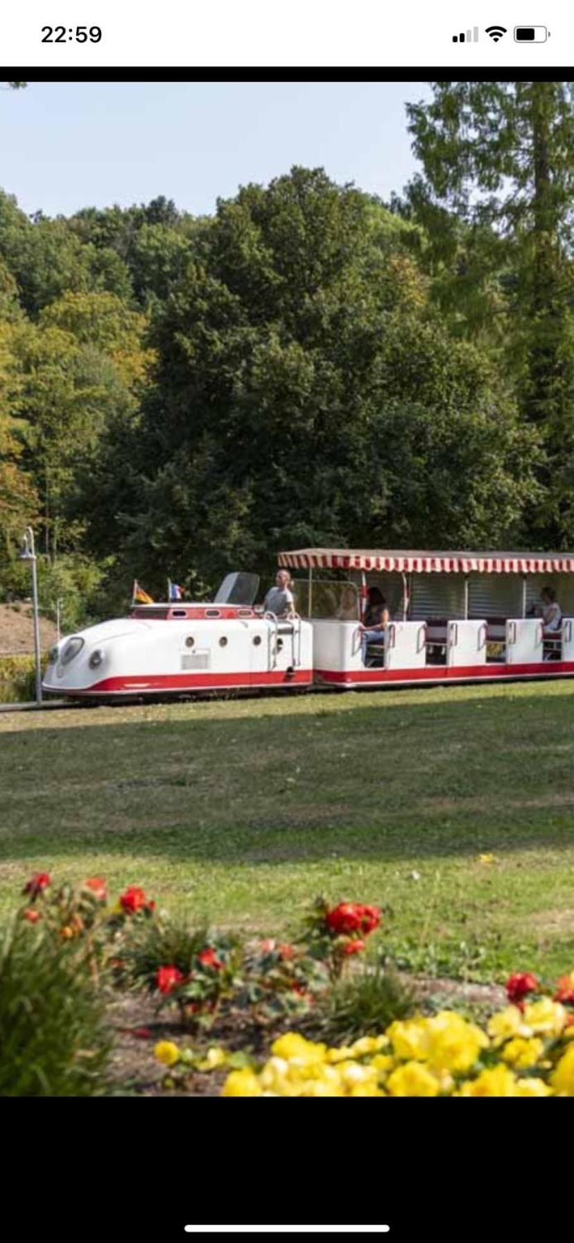 In Saarbruecken Stadtnahe Gemuetliche Wohnung Am Deutsch-Franzoesischen Garten Exterior foto